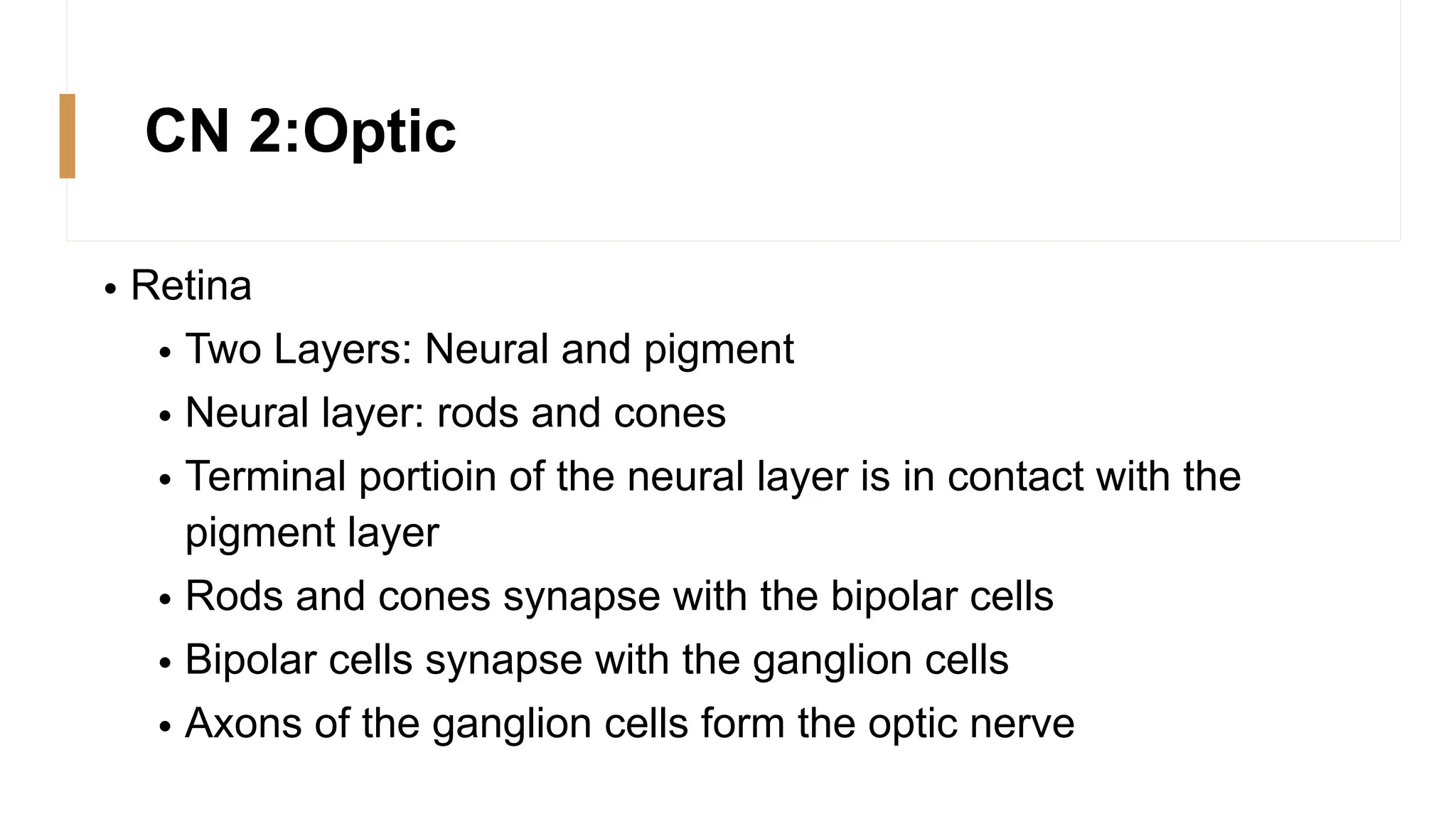 CN 2:Optic
• Retina
• Two Layers: Neural and pigment
• Neural layer: rods and cones
• Terminal portioin of the neural layer is in contact with the
pigment layer
• Rods and cones synapse with the bipolar cells
• Bipolar cells synapse with the ganglion cells
• Axons of the ganglion cells form the optic nerve
 