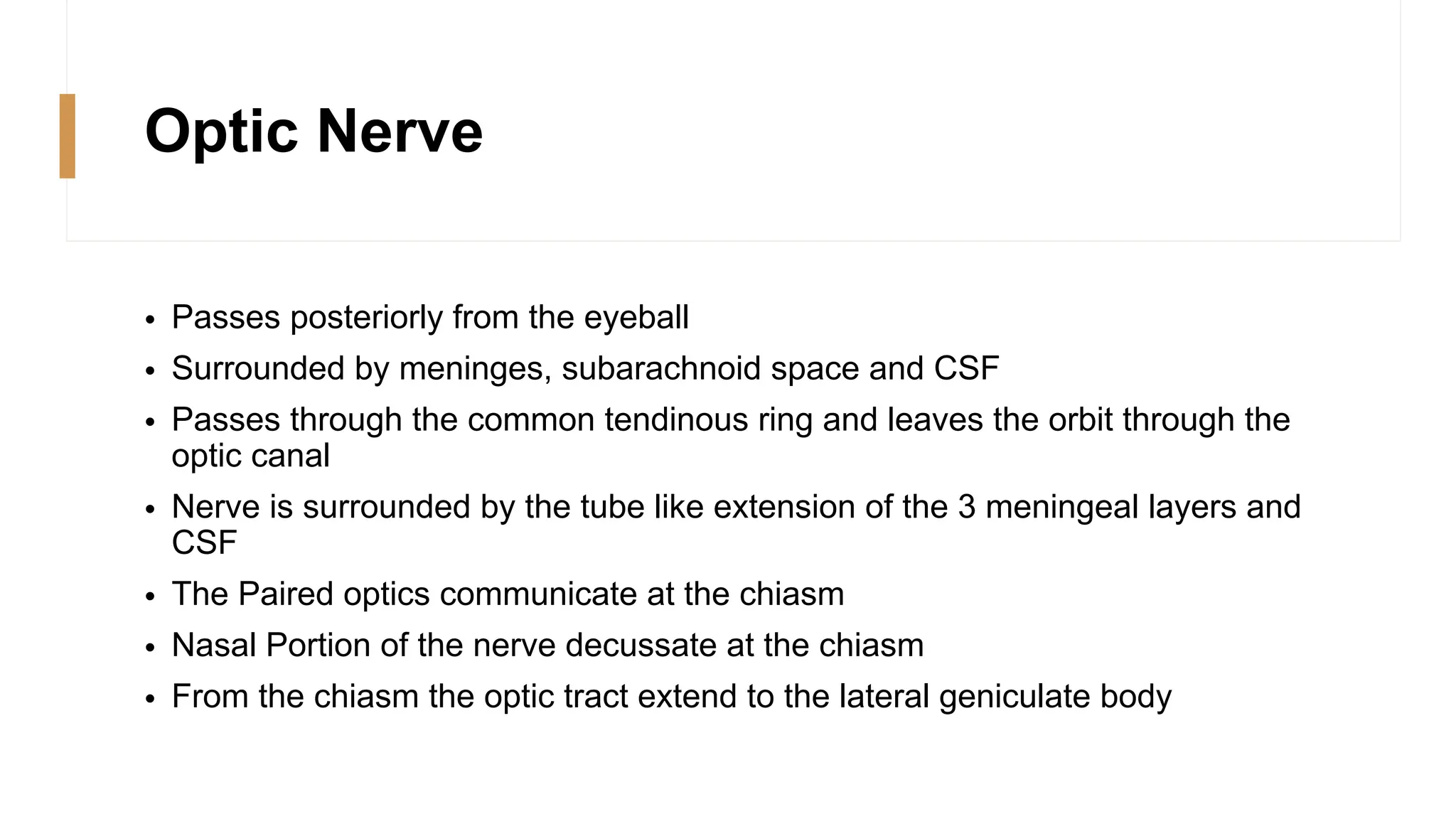Optic Nerve
• Passes posteriorly from the eyeball
• Surrounded by meninges, subarachnoid space and CSF
• Passes through the common tendinous ring and leaves the orbit through the
optic canal
• Nerve is surrounded by the tube like extension of the 3 meningeal layers and
CSF
• The Paired optics communicate at the chiasm
• Nasal Portion of the nerve decussate at the chiasm
• From the chiasm the optic tract extend to the lateral geniculate body
 