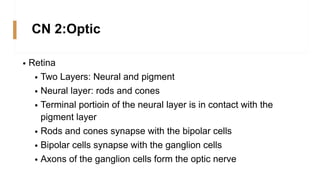 Cranial Nerve 2,3,4,6 function, loci.pdf
