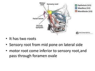 Sensorial Roots cranial nerve 5.pptx
