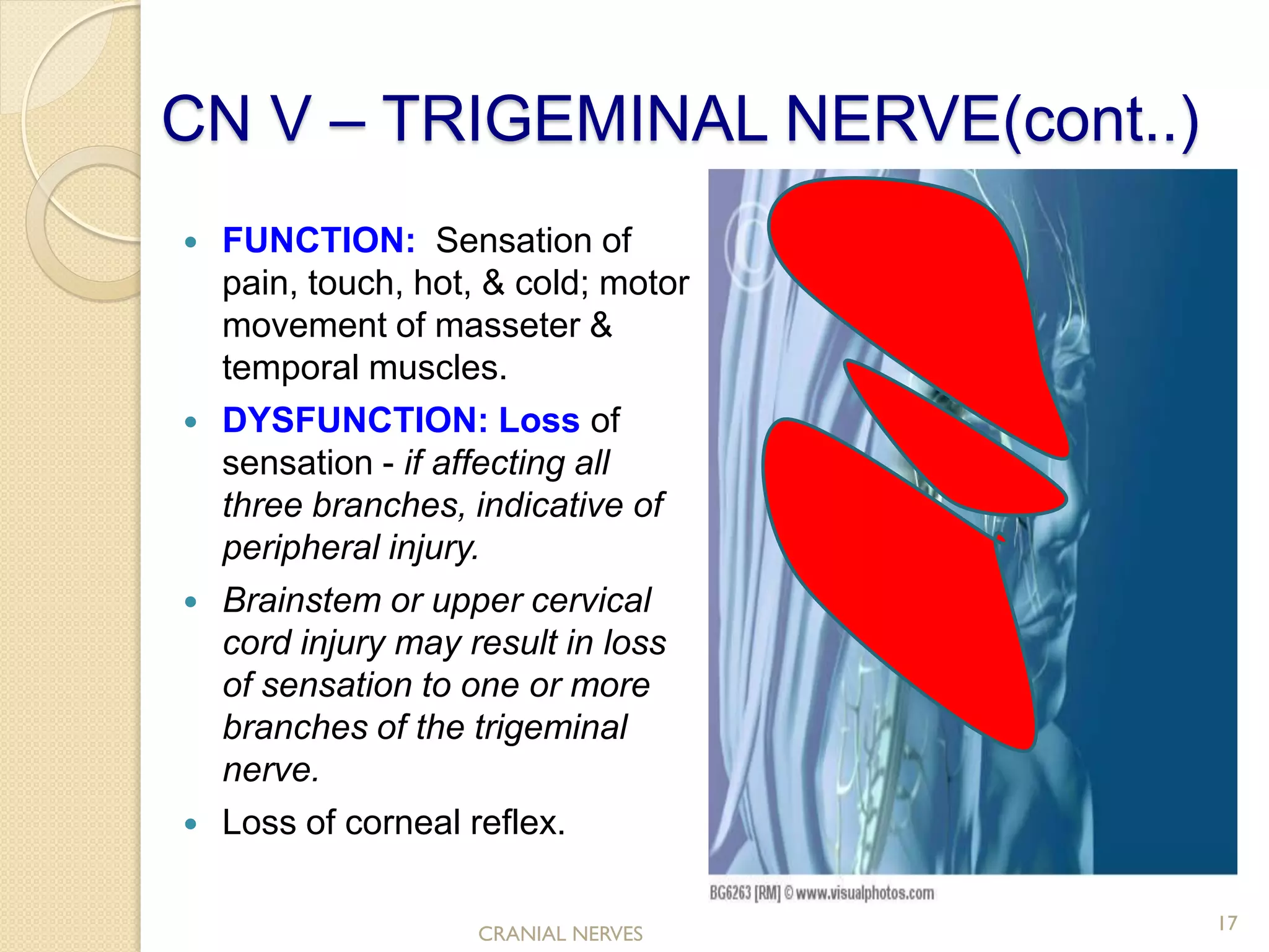 Cranial nerve assessment..Simple and Easy to perform for medics and ...