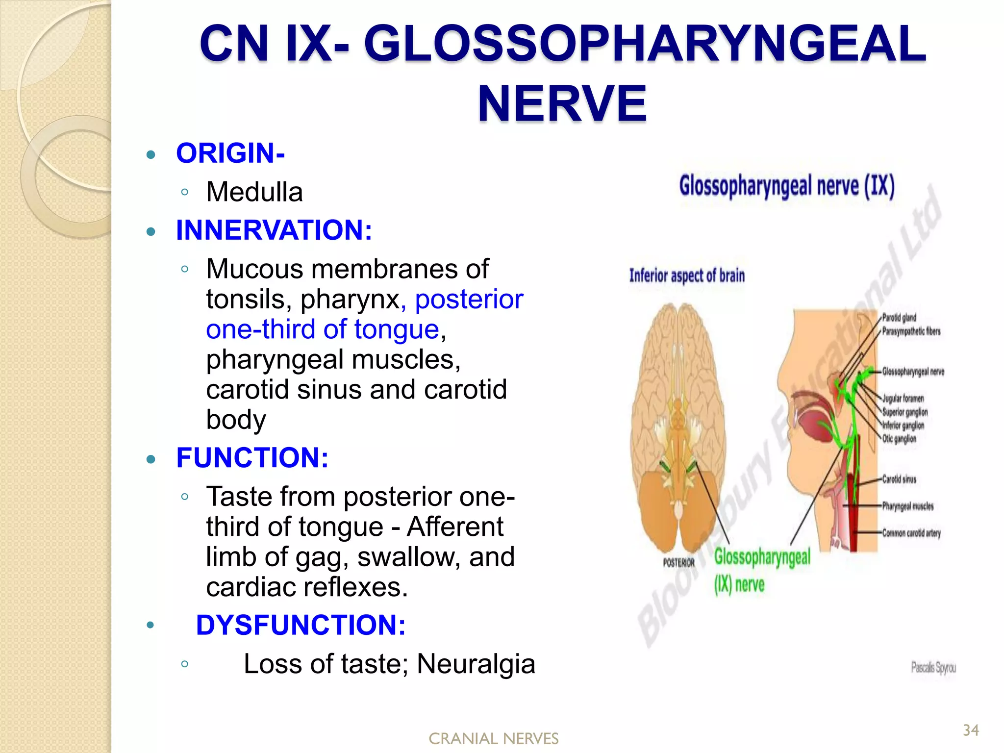 Cranial nerve assessment..Simple and Easy to perform for medics and ...