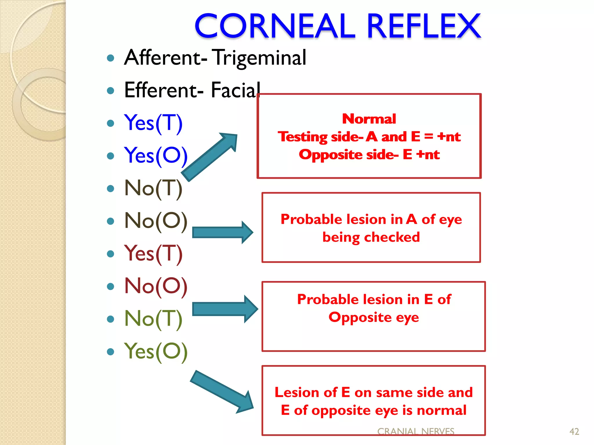 Cranial nerve assessment..Simple and Easy to perform for medics and ...