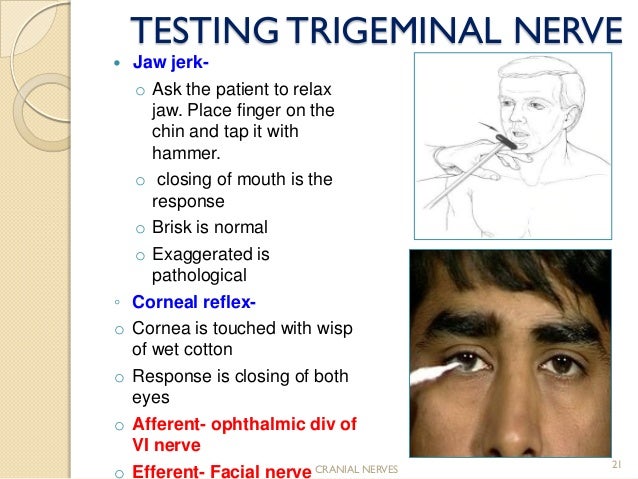 Facial Nerve Testing 87