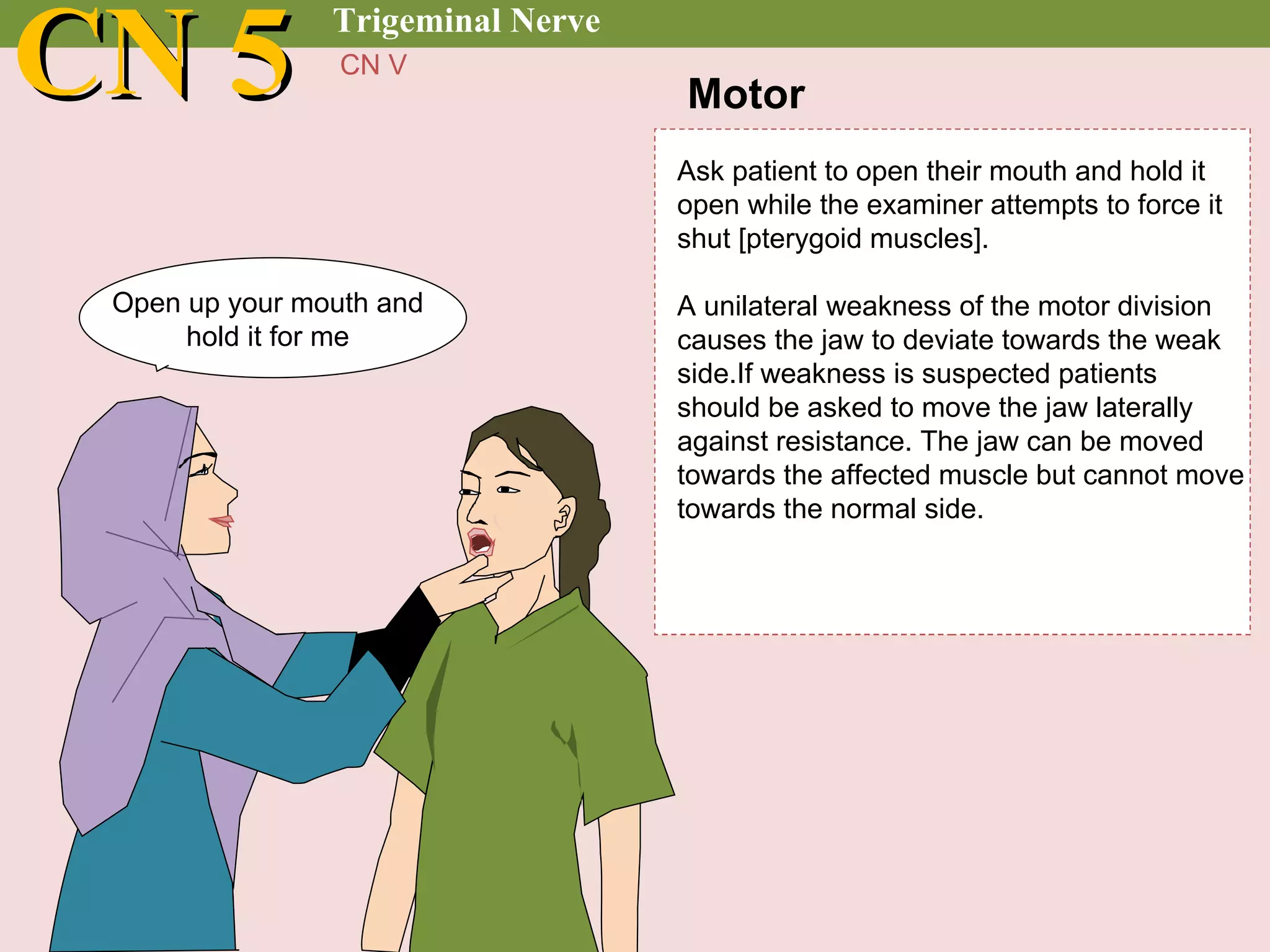 Cranial nerve examination | PPT