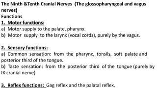 The Ninth &Tenth Cranial Nerves (The glossopharyngeal and vagus
nerves)
Functions
1. Motor functions:
a) Motor supply to the palate, pharynx.
b) Motor supply to the larynx (vocal cords), purely by the vagus.
2. Sensory functions:
a) Common sensation: from the pharynx, tonsils, soft palate and
posterior third of the tongue.
b) Taste sensation: from the posterior third of the tongue (purely by
IX cranial nerve)
3. Reflex functions: Gag reflex and the palatal reflex.
 