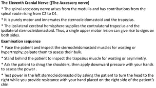 The Eleventh Cranial Nerve ((The Accessory nerve)
* The spinal accessory nerve arises from the medulla and has contributions from the
spinal route rising from C2 to C4.
* It is purely motor and innervates the sternocleidomastoid and the trapezius.
* The ipsilateral cerebral hemisphere supplies the contralateral trapezius and the
ipsilateral sternocleidomastoid. Thus, a single upper motor lesion can give rise to signs on
both sides.
Examination sequence
* Face the patient and inspect the sternocleidomastoid muscles for wasting or
hypertrophy; palpate them to assess their bulk.
* Stand behind the patient to inspect the trapezius muscle for wasting or asymmetry.
* Ask the patient to shrug the shoulders, then apply downward pressure with your hands
to assess the power .
* Test power in the left sternocleidomastoid by asking the patient to turn the head to the
right while you provide resistance with your hand placed on the right side of the patient’s
chin
 