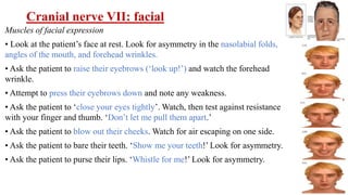 Cranial nerve VII: facial
Muscles of facial expression
• Look at the patient’s face at rest. Look for asymmetry in the nasolabial folds,
angles of the mouth, and forehead wrinkles.
• Ask the patient to raise their eyebrows (‘look up!’) and watch the forehead
wrinkle.
• Attempt to press their eyebrows down and note any weakness.
• Ask the patient to ‘close your eyes tightly’. Watch, then test against resistance
with your finger and thumb. ‘Don’t let me pull them apart.’
• Ask the patient to blow out their cheeks. Watch for air escaping on one side.
• Ask the patient to bare their teeth. ‘Show me your teeth!’ Look for asymmetry.
• Ask the patient to purse their lips. ‘Whistle for me!’ Look for asymmetry.
 