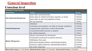 General inspection
Conscious level
 