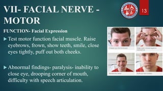 Cranial Nerve Examination | PPT