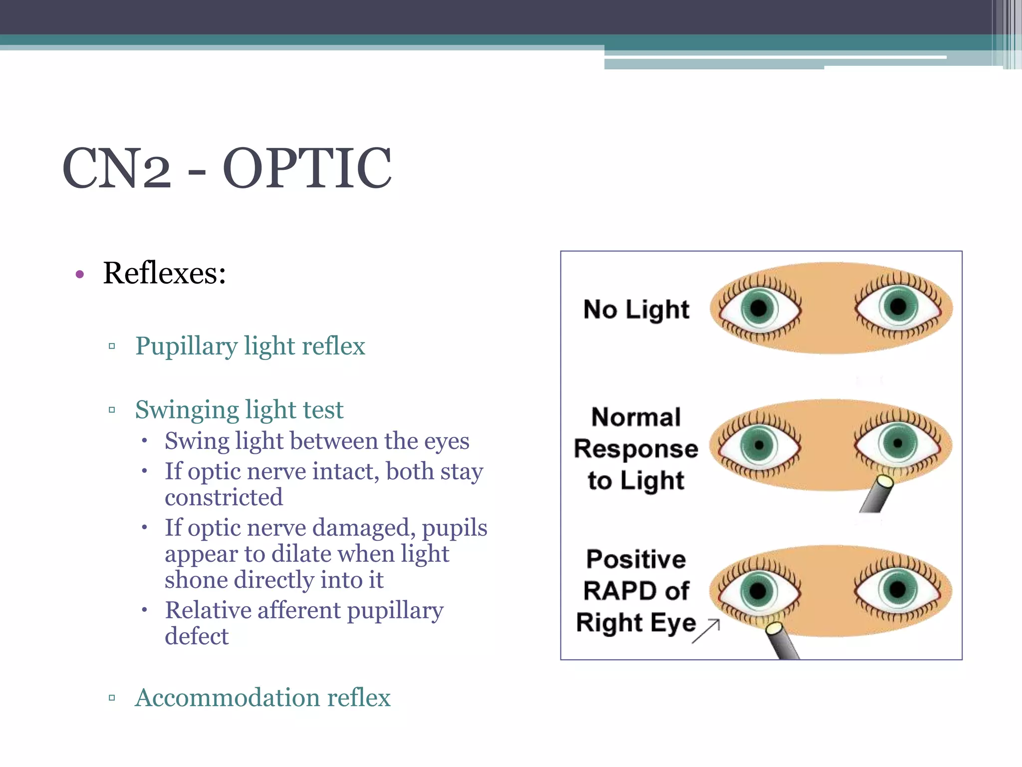 Cranial Nerve Examination.pptx