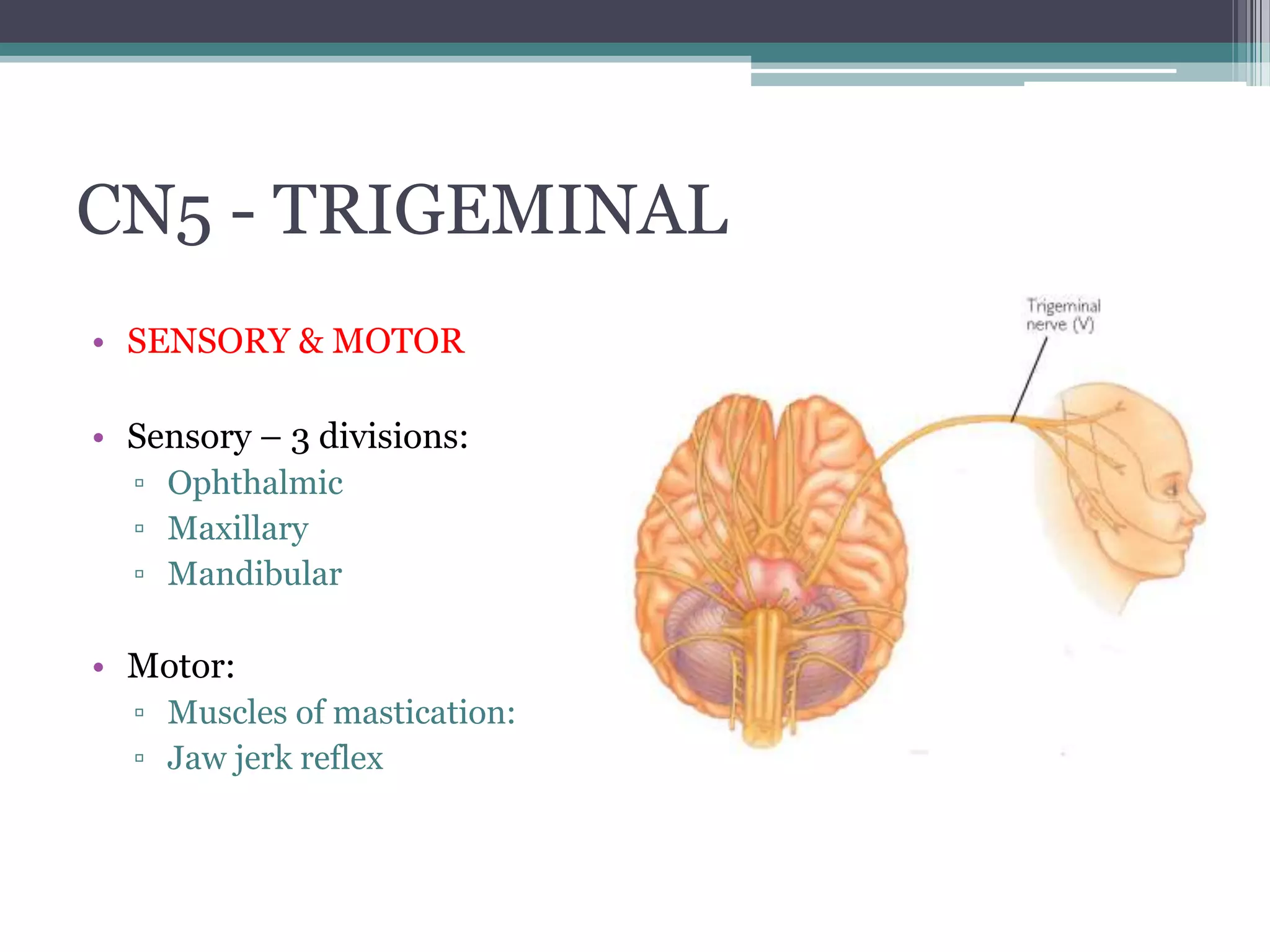 Cn5 Cranial Nerve Examination.pptx