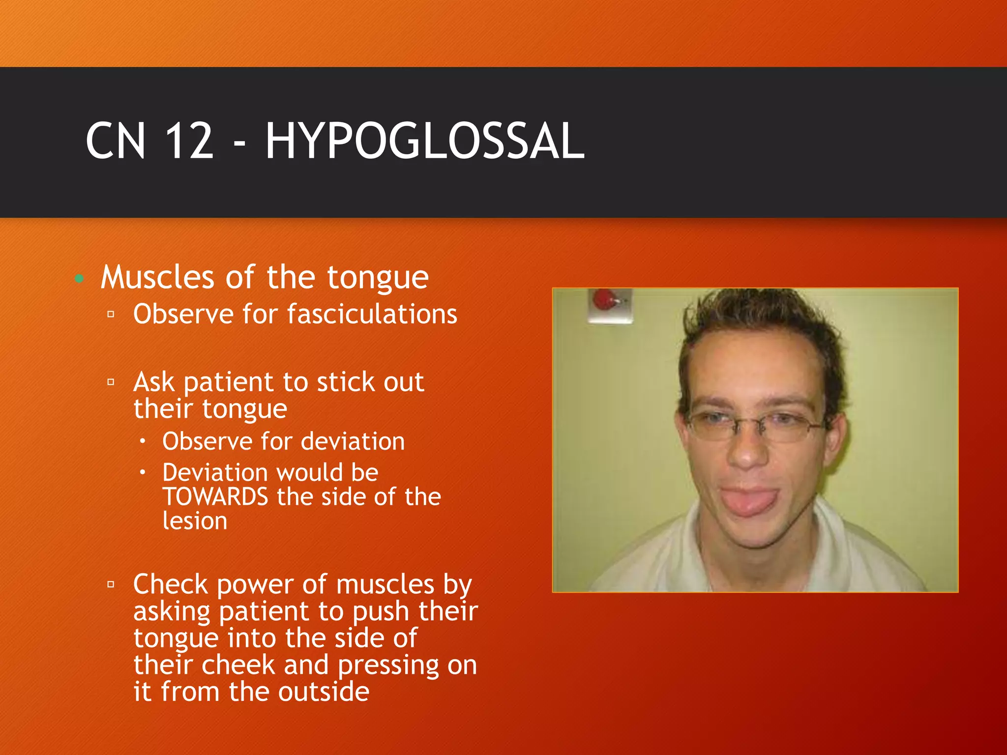 This Cranial Nerve Pairing Will Shock You! - k2wx6e0