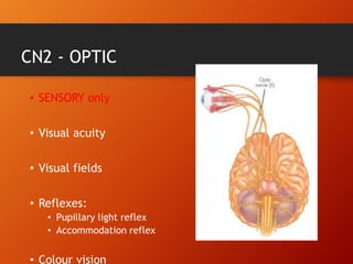 CN2 - OPTIC
• SENSORY only
• Visual acuity
• Visual fields
• Reflexes:
• Pupillary light reflex
• Accommodation reflex
• Colour vision
 
