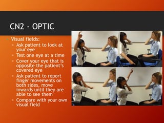CN2 - OPTIC
• Visual fields:
▫ Ask patient to look at
your eye
▫ Test one eye at a time
▫ Cover your eye that is
opposite the patient’s
covered eye
▫ Ask patient to report
finger movements on
both sides, move
inwards until they are
able to see them
▫ Compare with your own
visual field
 