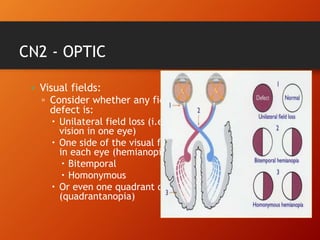 CN2 - OPTIC
• Visual fields:
▫ Consider whether any field
defect is:
 Unilateral field loss (i.e. all
vision in one eye)
 One side of the visual field
in each eye (hemianopia):
 Bitemporal
 Homonymous
 Or even one quadrant only
(quadrantanopia)
 