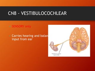 CN8 - VESTIBULOCOCHLEAR
• SENSORY only
• Carries hearing and balance
input from ear
 
