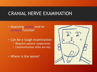 CRANIAL NERVE EXAMINATION
• Assessing motor and/or
sensory function
• Can be a tough examination:
• Requires patient cooperation
• Communication skills are key
• Where is the lesion?
 