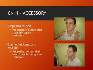 CN11 - ACCESSORY
• Trapezius muscle
• Ask patient to shrug their
shoulders against
resistance
• Sternocleidomastoid
muscle
• Ask patient to turn their
head to each side against
resistance
 