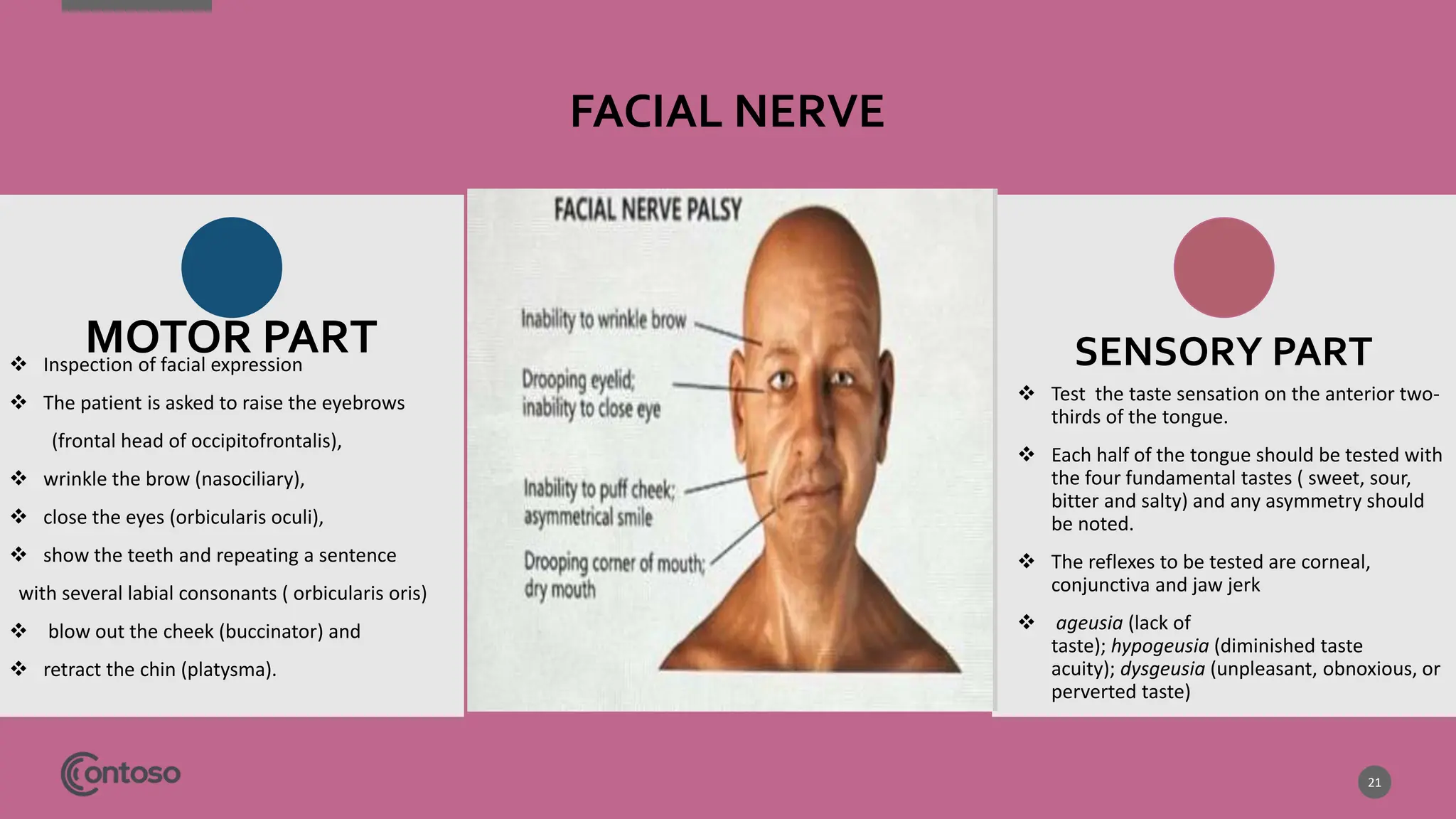 CRANIAL NERVE EXAMINATION.pptx