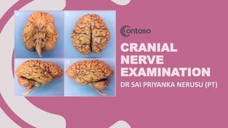 CRANIAL
NERVE
EXAMINATION
DR SAI PRIYANKA NERUSU (PT)
 