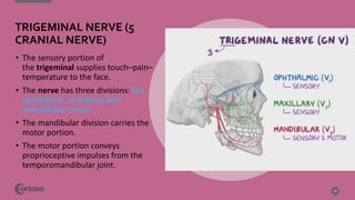 TRIGEMINAL NERVE (5
CRANIAL NERVE)
• The sensory portion of
the trigeminal supplies touch–pain–
temperature to the face.
• The nerve has three divisions: the
ophthalmic, maxillary, and
mandibular nerves
• The mandibular division carries the
motor portion.
• The motor portion conveys
proprioceptive impulses from the
temporomandibular joint.
19
 