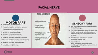 FACIAL NERVE
21
 Test the taste sensation on the anterior two-
thirds of the tongue.
 Each half of the tongue should be tested with
the four fundamental tastes ( sweet, sour,
bitter and salty) and any asymmetry should
be noted.
 The reflexes to be tested are corneal,
conjunctiva and jaw jerk
 ageusia (lack of
taste); hypogeusia (diminished taste
acuity); dysgeusia (unpleasant, obnoxious, or
perverted taste)
MOTOR PART SENSORY PART
 Inspection of facial expression
 The patient is asked to raise the eyebrows
(frontal head of occipitofrontalis),
 wrinkle the brow (nasociliary),
 close the eyes (orbicularis oculi),
 show the teeth and repeating a sentence
with several labial consonants ( orbicularis oris)
 blow out the cheek (buccinator) and
 retract the chin (platysma).
 