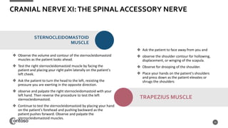 CRANIAL NERVE XI:THE SPINAL ACCESSORY NERVE
 Observe the volume and contour of the sternocleidomastoid
muscles as the patient looks ahead.
 Test the right sternocleidomastoid muscle by facing the
patient and placing your right palm laterally on the patient's
left cheek.
 Ask the patient to turn the head to the left, resisting the
pressure you are exerting in the opposite direction.
 observe and palpate the right sternocleidomastoid with your
left hand. Then reverse the procedure to test the left
sternocleidomastoid.
 Continue to test the sternocleidomastoid by placing your hand
on the patient's forehead and pushing backward as the
patient pushes forward. Observe and palpate the
sternocleidomastoid muscles.
25
STERNOCLEIDOMASTOID
MUSCLE
 Ask the patient to face away from you and
 observe the shoulder contour for hollowing,
displacement, or winging of the scapula.
 Observe for drooping of the shoulder.
 Place your hands on the patient's shoulders
and press down as the patient elevates or
shrugs the shoulders
TRAPEZIUS MUSCLE
 