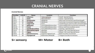 CRANIAL NERVES
4
 