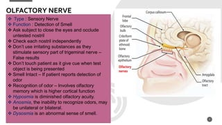 7
OLFACTORY NERVE
 Type : Sensory Nerve
 Function : Detection of Smell
 Ask subject to close the eyes and occlude
untested nostril
 Check each nostril independently
 Don’t use irritating substances as they
stimulate sensory part of trigeminal nerve –
False results
 Don’t touch patient as it give cue when test
object is being presented
 Smell Intact – If patient reports detection of
odor
 Recognition of odor – Involves olfactory
memory which is higher cortical function
 Hyposmia is diminished olfactory acuity.
 Anosmia, the inability to recognize odors, may
be unilateral or bilateral.
 Dysosmia is an abnormal sense of smell.
 