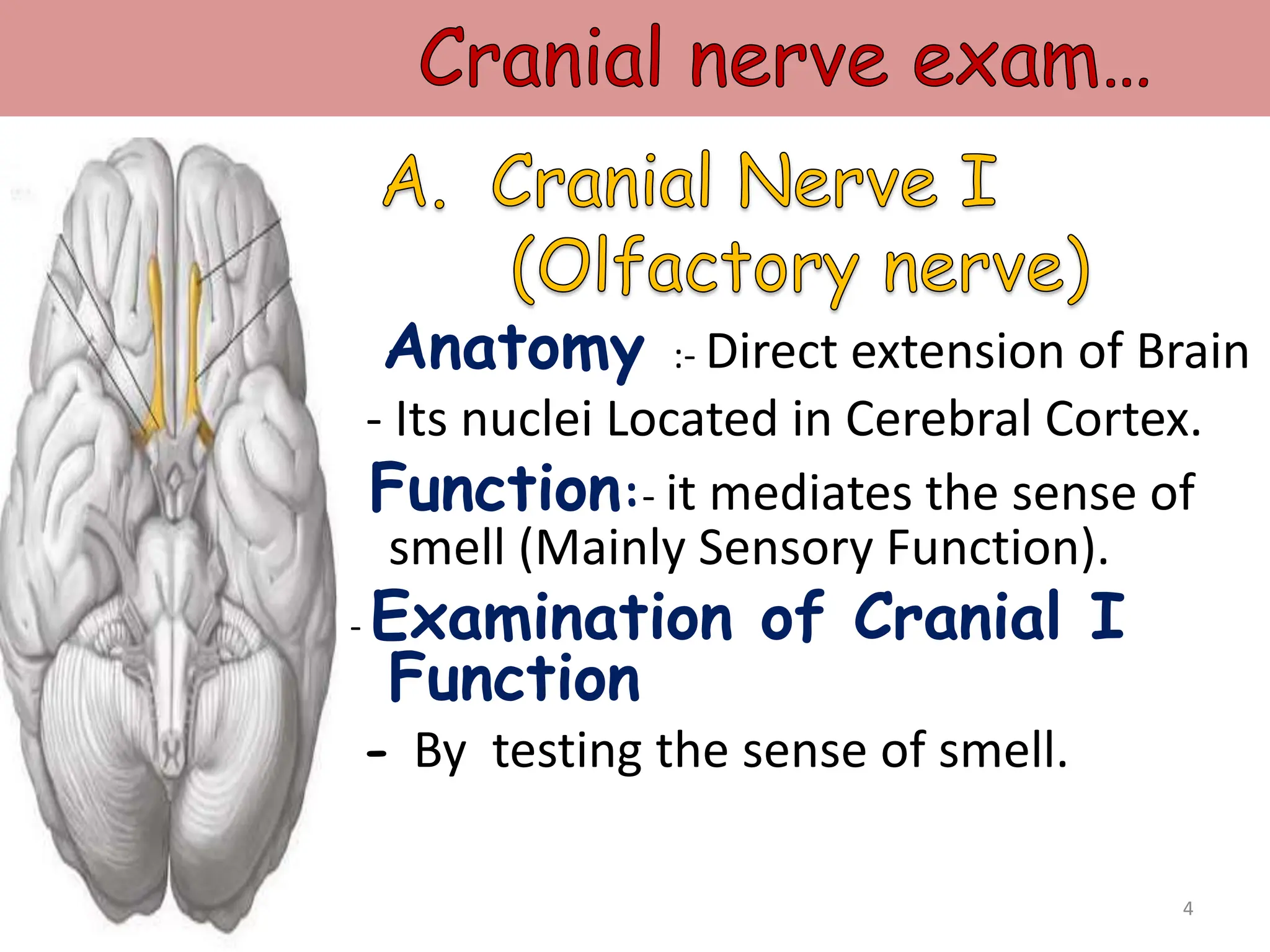 Direct Extension Cranial nerve examination.pptx