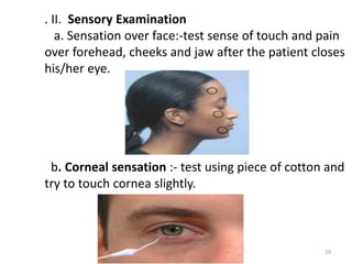 . II. Sensory Examination
a. Sensation over face:-test sense of touch and pain
over forehead, cheeks and jaw after the patient closes
his/her eye.
b. Corneal sensation :- test using piece of cotton and
try to touch cornea slightly.
29
 