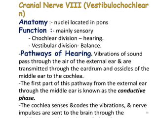 Anatomy :- nuclei located in pons
Function :- mainly sensory
- Chochlear division – hearing.
- Vestibular division- Balance.
-Pathways of Hearing. Vibrations of sound
pass through the air of the external ear & are
transmitted through the eardrum and ossicles of the
middle ear to the cochlea.
-The first part of this pathway from the external ear
through the middle ear is known as the conductive
phase.
-The cochlea senses &codes the vibrations, & nerve
impulses are sent to the brain through the 36
 