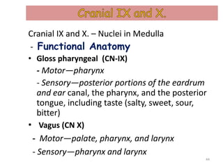 Cranial IX and X. – Nuclei in Medulla
- Functional Anatomy
• Gloss pharyngeal (CN-IX)
- Motor—pharynx
- Sensory—posterior portions of the eardrum
and ear canal, the pharynx, and the posterior
tongue, including taste (salty, sweet, sour,
bitter)
• Vagus (CN X)
- Motor—palate, pharynx, and larynx
- Sensory—pharynx and larynx
44
 