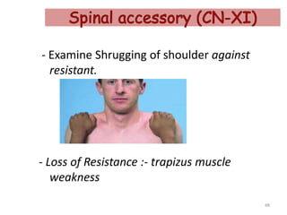 - Examine Shrugging of shoulder against
resistant.
- Loss of Resistance :- trapizus muscle
weakness
48
 