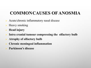 COMMONCAUSES OFANOSMIA
Ø Acute/chronic inflammatory nasal disease
Ø Heavy smoking
Ø Head injury
Ø Intra cranial tumour compressing the olfactory bulb
Ø Atrophy of olfactory bulb
Ø Chronic meningeal inflammation
Ø Parkinson’s disease
 