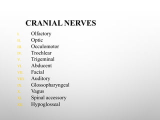 CRANIAL NERVES
I. Olfactory
II. Optic
III. Occulomotor
IV. Trochlear
V. Trigeminal
VI. Abducent
VII. Facial
VIII. Auditory
IX. Glossopharyngeal
X. Vagus
XI. Spinal accessory
XII. Hypoglosseal
 