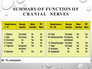 SUMMARY O F FUNCTION O F
CRANIAL NERVES
 