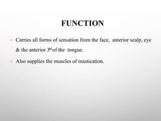 FUNCTION
v Carries all forms of sensation from the face, anterior scalp, eye
& the anterior 3rd of the tongue.
v Also supplies the muscles of mastication.
 