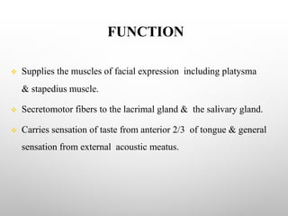 FUNCTION
v Supplies the muscles of facial expression including platysma
& stapedius muscle.
v Secretomotor fibers to the lacrimal gland & the salivary gland.
v Carries sensation of taste from anterior 2/3 of tongue & general
sensation from external acoustic meatus.
 