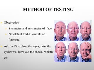 METHOD OF TESTING
v Observation
Ø Symmetry and asymmetry of face
Ø Nasolabial fold & wrinkle on
forehead
v Ask the Pt to close the eyes, raise the
eyebrows, blow out the cheek, whistle
etc
 