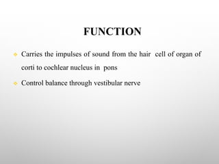 FUNCTION
v Carries the impulses of sound from the hair cell of organ of
corti to cochlear nucleus in pons
v Control balance through vestibular nerve
 