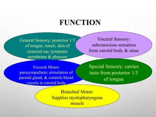 FUNCTION
General Sensory: posterior 1/3
of tongue, tonsil, skin of
external ear, tympanic
membrane & pharynx
Visceral Motor:
parasympathetic stimulation of
parotid gland, & controls blood
vessels in carotid body
Visceral Sensory:
subconscious sensation
from carotid body & sinus
Special Sensory: carries
taste from posterior 1/3
of tongue
Branchial Motor:
Supplies styolopharyngeus
muscle
 
