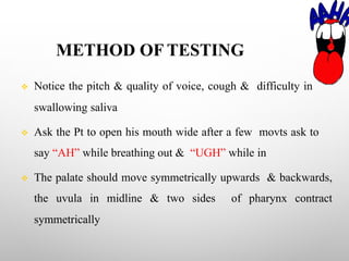METHOD OF TESTING
v Notice the pitch & quality of voice, cough & difficulty in
swallowing saliva
v Ask the Pt to open his mouth wide after a few movts ask to
say “AH” while breathing out & “UGH” while in
v The palate should move symmetrically upwards & backwards,
the uvula in midline & two sides of pharynx contract
symmetrically
 