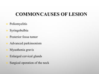 COMMONCAUSES OF LESION
v Poliomyelitis
v Syringobulbia
v Posterior fossa tumor
v Advanced parkinsonism
v Myasthenia gravis
v Enlarged cervical glands
v Surgical operation of the neck
 