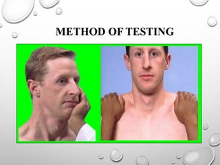 METHOD OF TESTING
 
