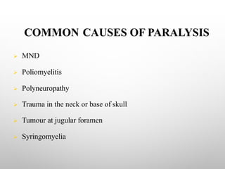 COMMON CAUSES OF PARALYSIS
Ø MND
Ø Poliomyelitis
Ø Polyneuropathy
Ø Trauma in the neck or base of skull
Ø Tumour at jugular foramen
Ø Syringomyelia
 