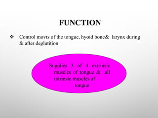 FUNCTION
v Control movts of the tongue, hyoid bone& larynx during
& after deglutition
Supplies 3 of 4 extrinsic
muscles of tongue & all
intrinsic muscles of
tongue
 