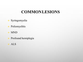 COMMONLESIONS
v Syringomyelia
v Poliomyelitis
v MND
v Profound hemiplegia
v ALS
 