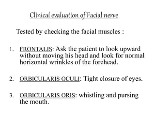 MICROSURGICAL ANATOMY OF CRANIAL NERVES | PPTX